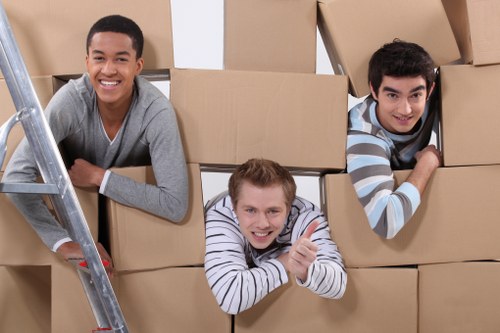 Organized boxes prepared for residential and business storage